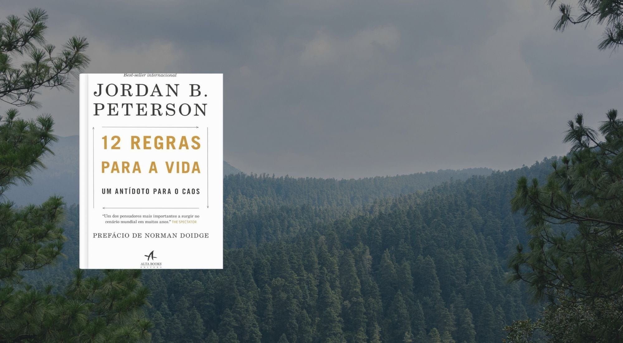 Resumo do livro 12 Regras para a Vida de Jordan Peterson