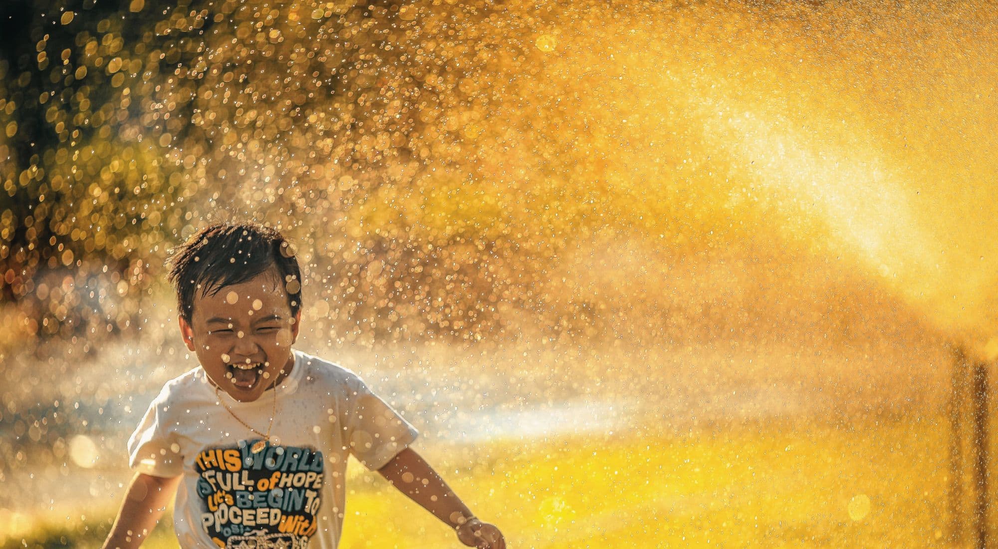 Como ser feliz? Um guia Baseado em ciência